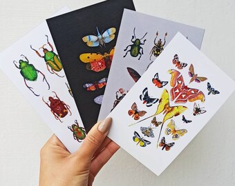 Insect postcard set, Pack of 4 postcards, Moth and beetles note cards, Nature art postcards, Insect print postcards, Postcard collector gift