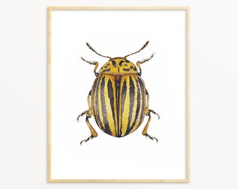 Potato Bug Print: Beetle Watercolor Painting, Science Wall Art