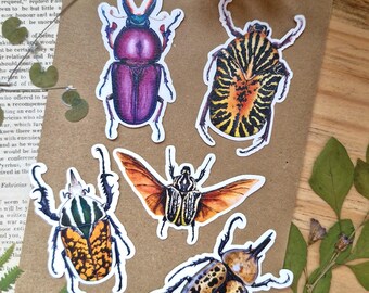 Beetle Sticker Set, Waterproof, Insect Decal, Bug Stickers, Hand Drawn, Kindle Decoration, iPad Sticker, Cute Laptop Decal