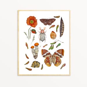 Impressão em aquarela de Leão, arte astrológica botânica, presente de Leão, decoração de parede celestial, mapa astral inspirado na natureza
