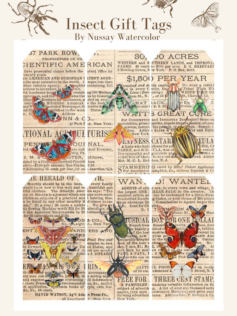 Journal Insect Stickers Junk Journal Ephemera Entomology Insect Butterfly Junk Journal Tags ...