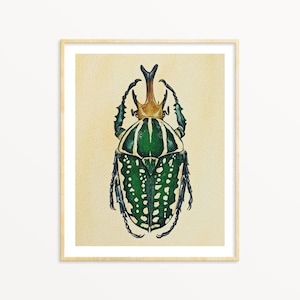 Green Beetle Insect Watercolor Print, Entomology gift, African Fruit Beetle, Homeschooling Wall Art, Insect Scientific Illustration