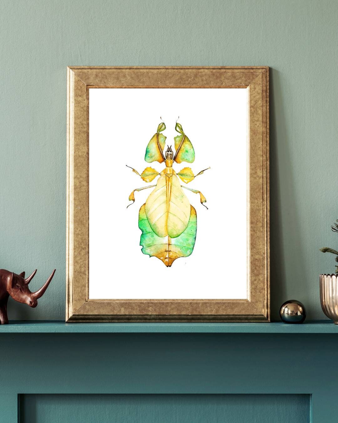 Leaf Insect Watercolor Illustration Insect Taxidermy Pinned - Etsy