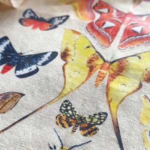 Moth Botanical Tote Bag, Witchy Moth Tote, Market Tote Bag, Cottagecore ...
