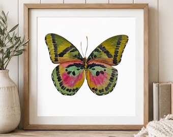 Puede incluir: Una pieza de arte mural cuadrada y enmarcada que presenta una ilustración centrada de una mariposa con alas vibrantes. La mariposa muestra una paleta de colores verde oliva, rosa brillante y amarillo, acentuada con marcas negras y antenas finas.
