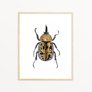 Hercules Beetle Print: Insect Watercolor Painting, Entomology Art