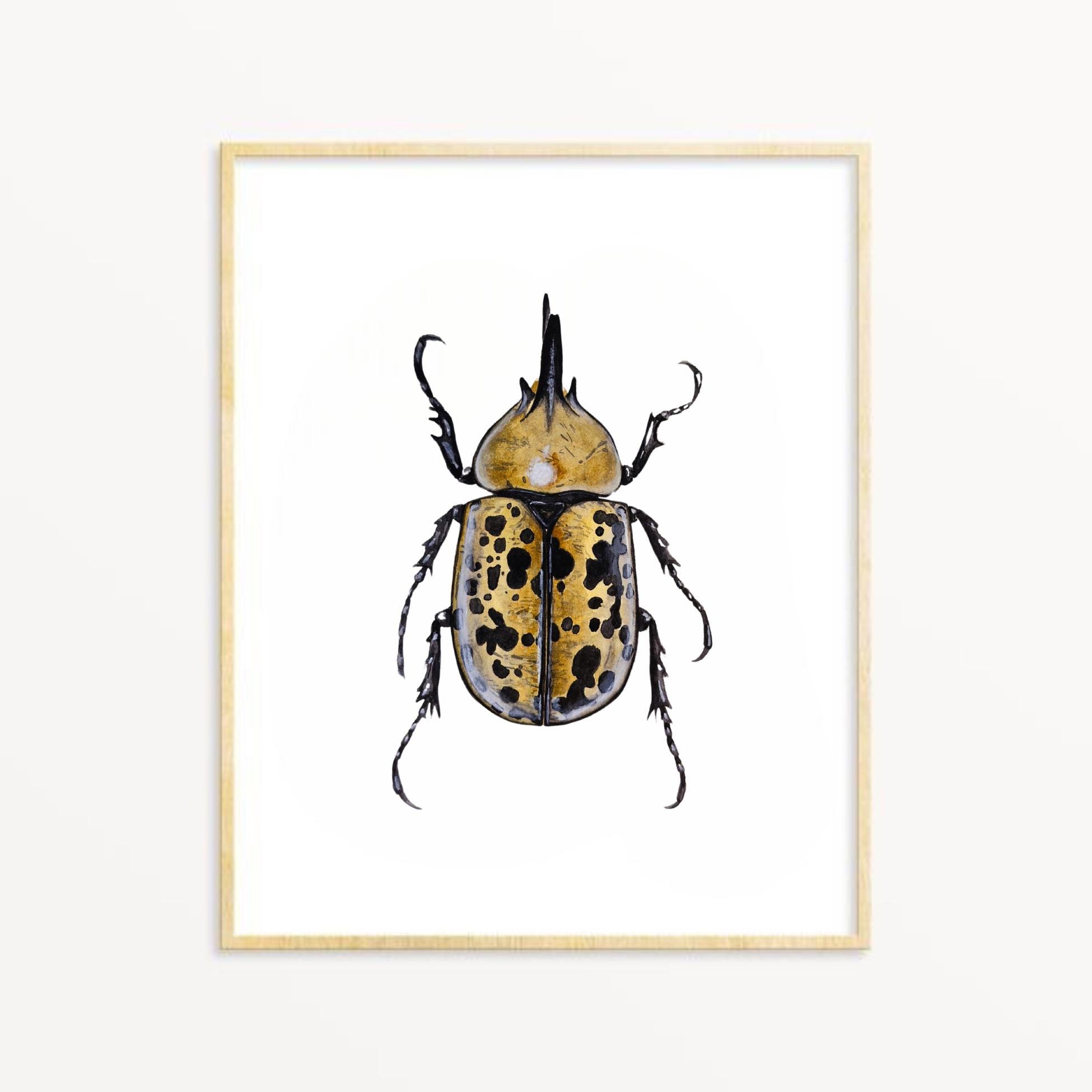 Hercules Beetle Print: Insect Watercolor Painting, Entomology Art