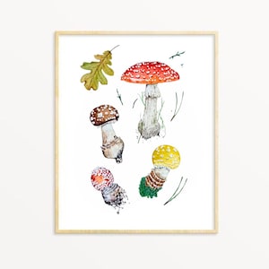 Fliegenpilz Botanische Aquarell Illustration DRUCK