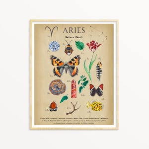 Arte vintage Ariete, grafico del segno zodiacale, poster Ariete, regalo Ariete