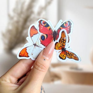 Confezione di adesivi a forma di farfalla, set di adesivi a forma di farfalla, adesivi naturali per Tumbler, set di adesivi a forma di farfalla, impermeabili e resistenti ai graffi
