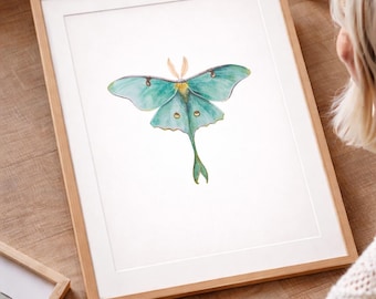 Luna Moth Kunstdruck, Cottagecore Schmetterling Wandkunst