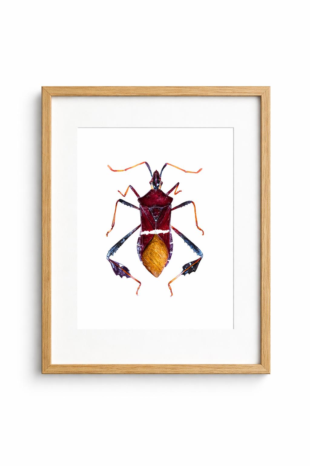 葉足昆虫のアートプリント、昆虫学の水彩画 - Etsy 日本