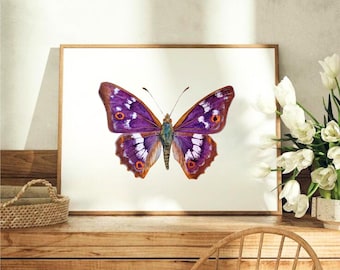 Purple Butterfly Watercolor Art Print, Apatura Ilia Butterfly Print, Lesser Purple Emperor Art, Natural History Illustration.