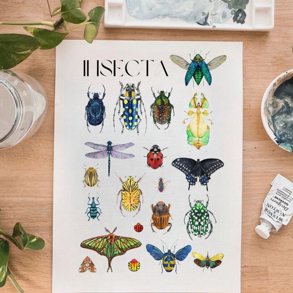 Impression d'art mural insectes colorés - Cadeau d'entomologie parfait et décoration d'école à la maison