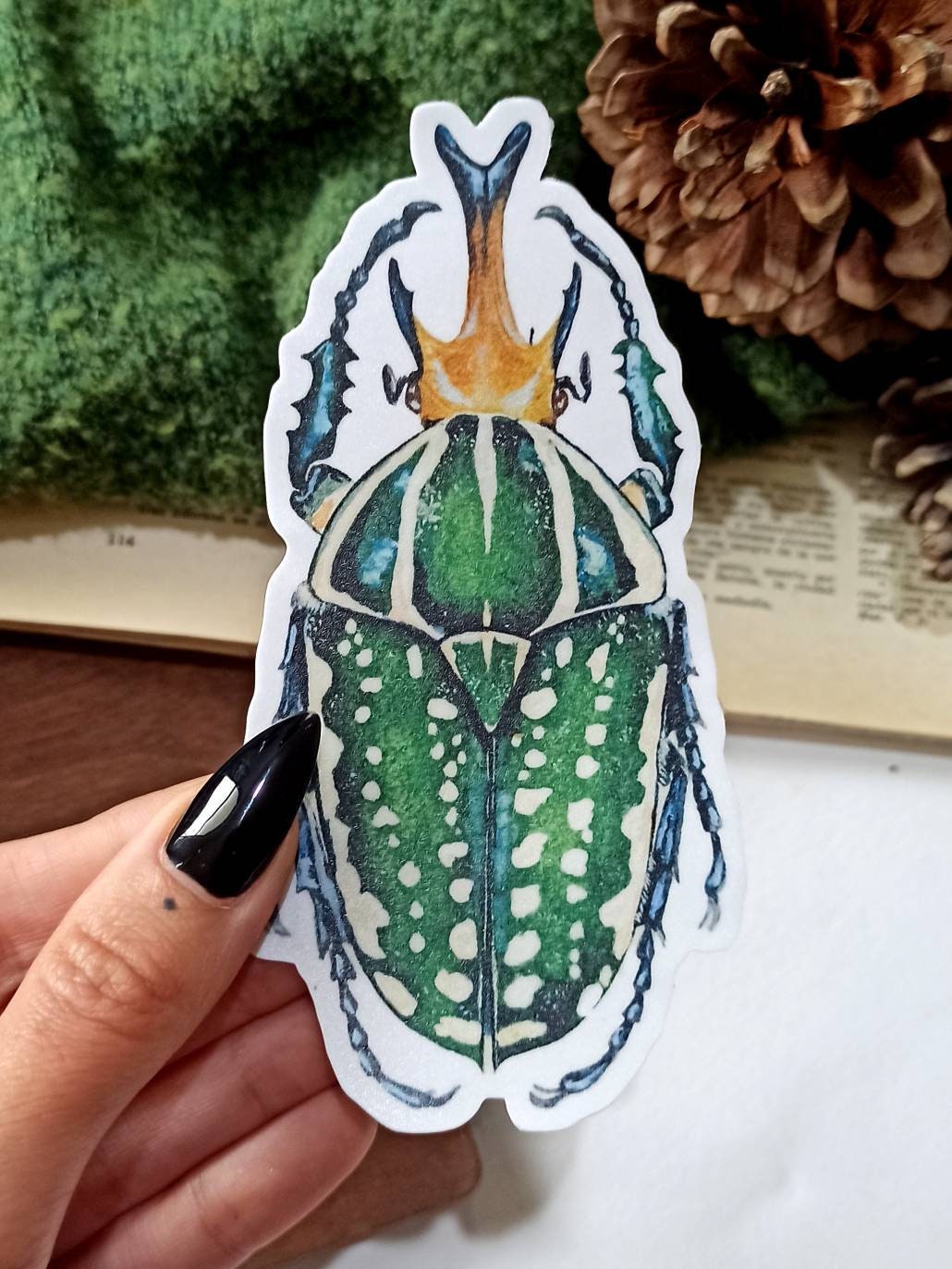 Insect Bumper Sticker, Insect Decal, Entomologist Car, Green Beetle ...