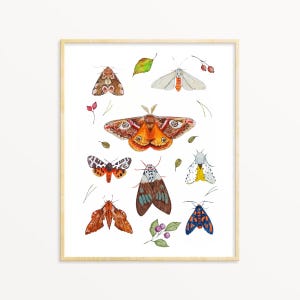Moth Art Print, Botanical Watercolor Moths and Berries Painting, Vintage Style, Cottagecore Wall decor, Nature Art