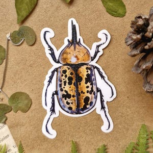 Pegatina impermeable de escarabajo Hércules, regalo de entomología