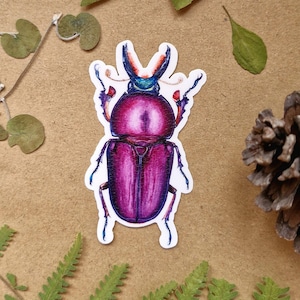 Pegatina impermeable de ciervo volante morado, regalo de entomología