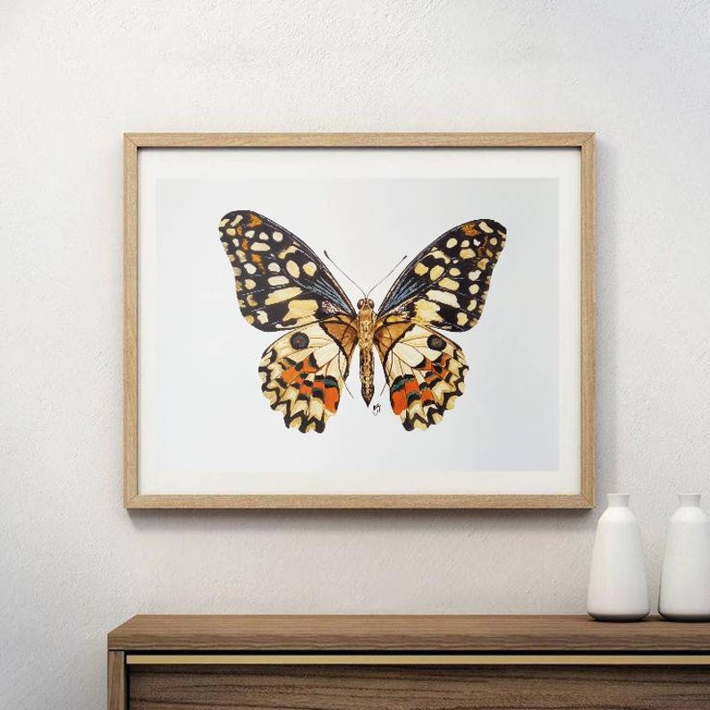 Butterfly Art Print of Watercolor Painting Butterfly Pinned - Etsy