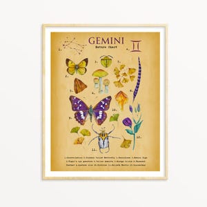 Zwillinge Vintage Kunst Aquarell Druck, botanische Astrologie Kunst, Zwillinge Geschenk, himmlische Wanddekoration, Natur inspiriert Sternzeichen
