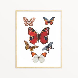 Impression d'art nature papillons, décoration murale colorée de salon, cadeau pour fille, aquarelle papillon, chambre de bébé, papillon rouge