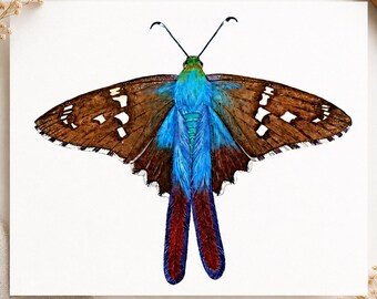 Vlinderkunstafdruk van overgeslagen exemplaar met lange staart, aquarelillustratie Cottagecore boerderijdecoratie natuurkunst