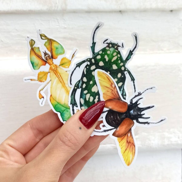Bugs Sticker Pack, Waterproof, Leaf Insect and Beetles, Hydroflask Stickers, Cute Insect Sticker for Laptop, Entomology Gift