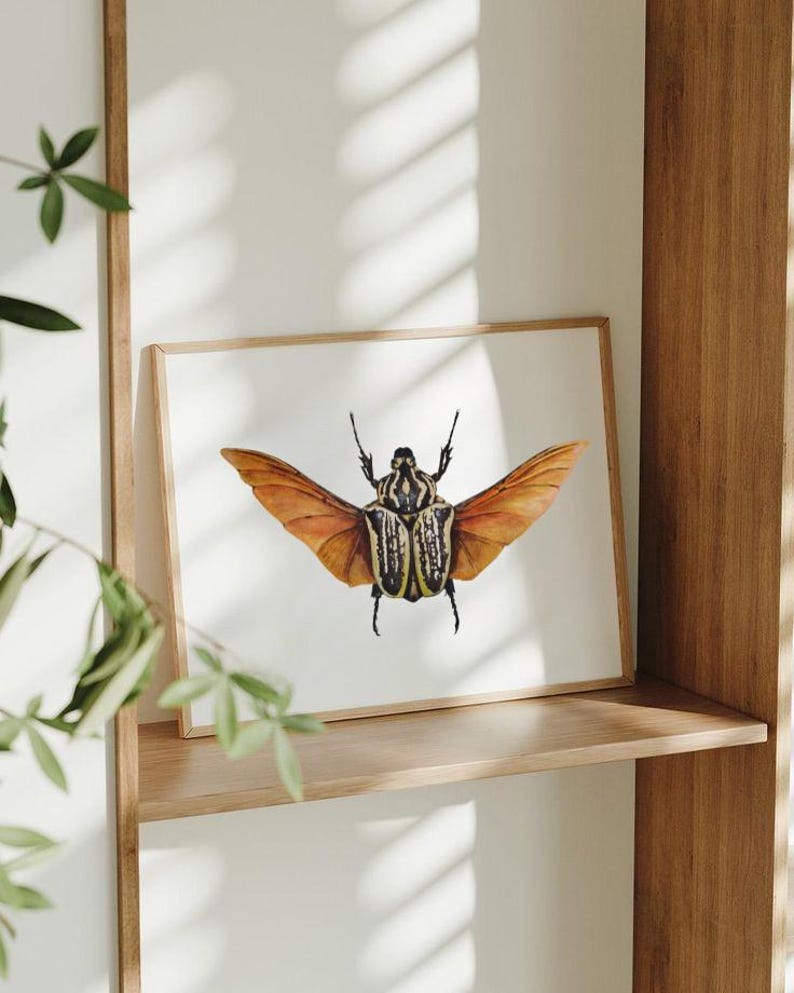 Insect Wall Art Print of Goliath Beetle Watercolor, Insect Gallery Wall ...