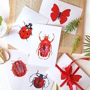 Postales de insectos rojos – Láminas artísticas de insectos en acuarela – Papelería con mariquitas, escarabajos y mariposas – Postales inspiradas en la naturaleza