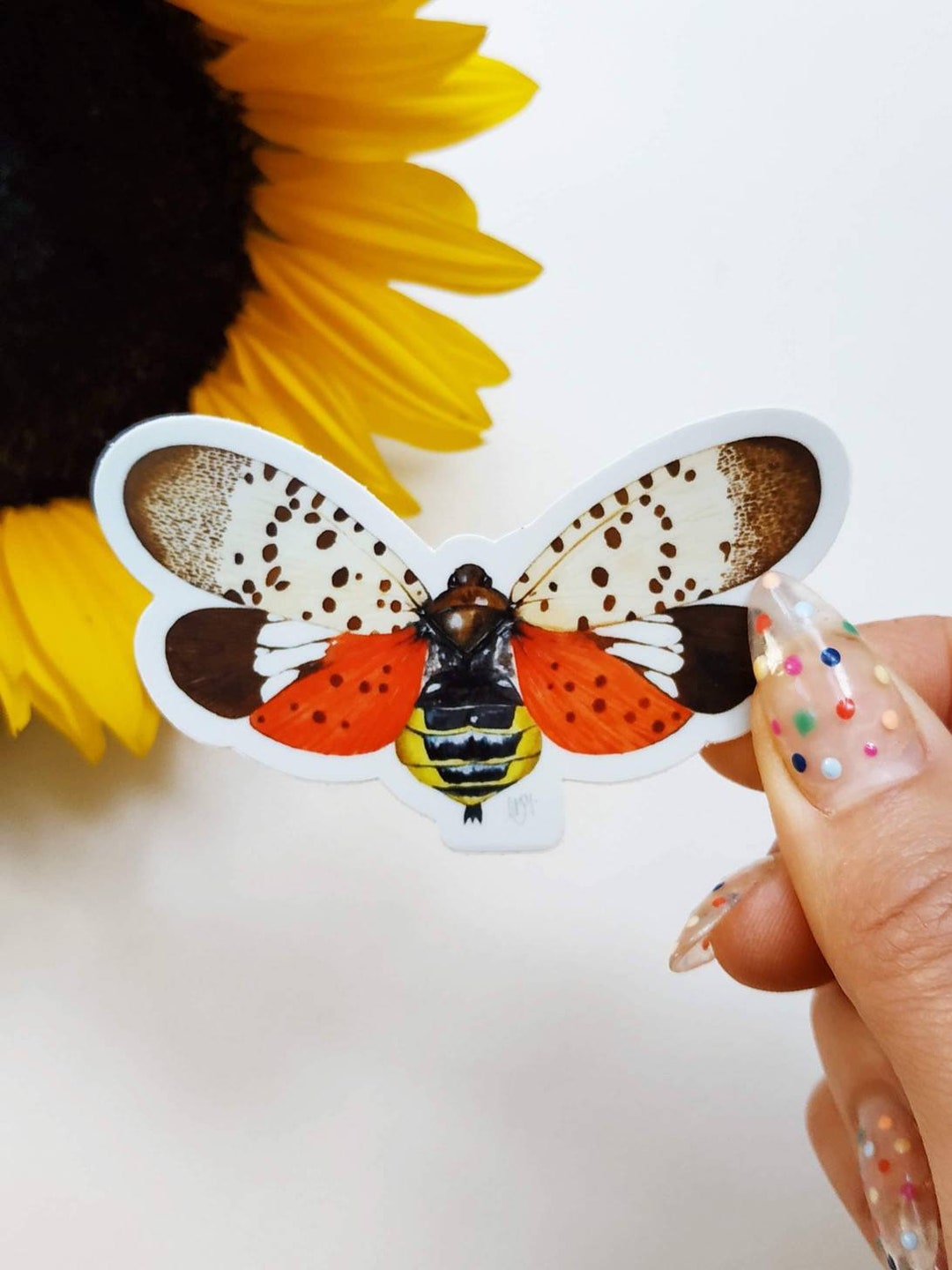 Insect Sticker Waterproof, Lanternfly Vinyl Sticker, Insect Decal ...