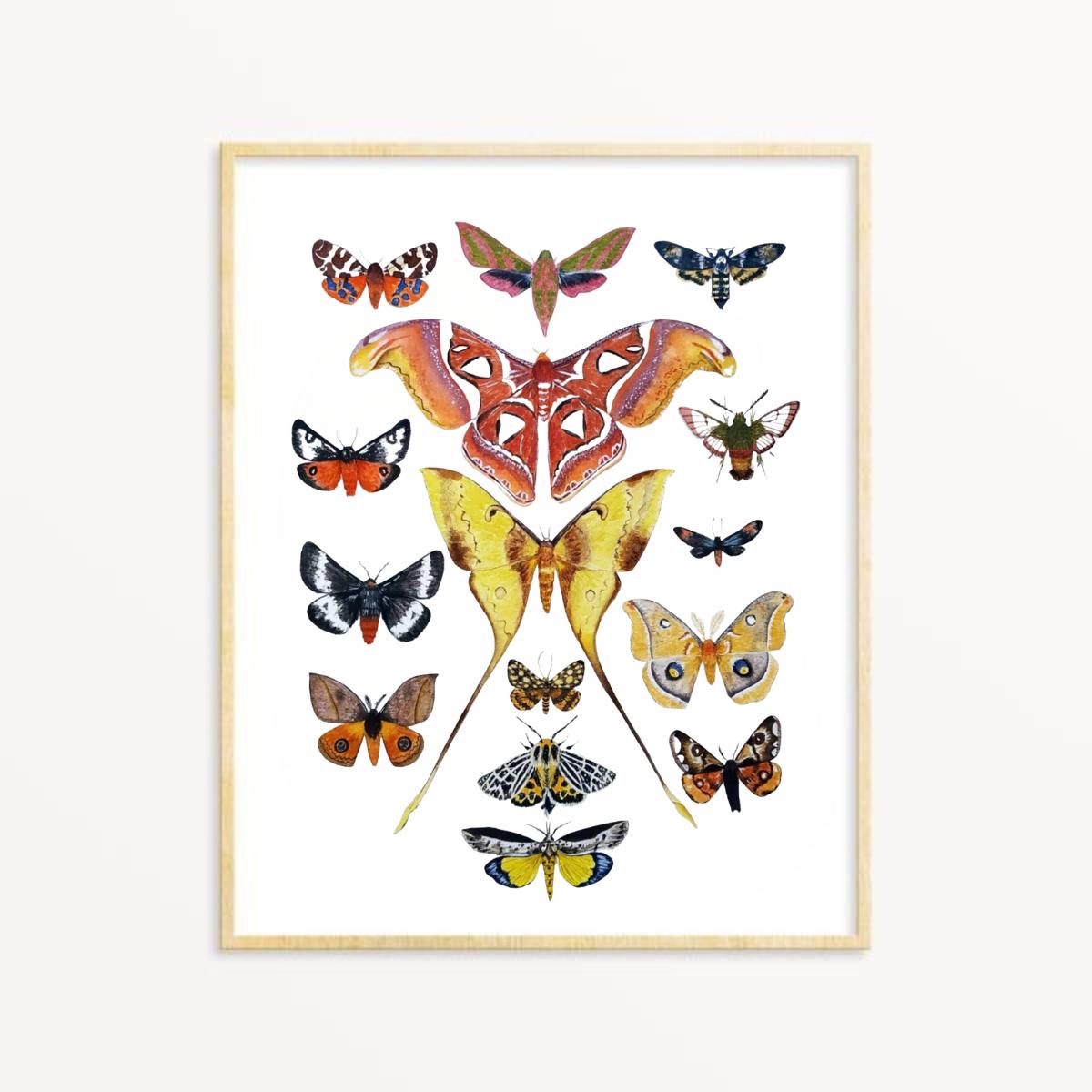 Moth Art Print Colorful, Watercolor Insect Illustration, Homeschool Art ...