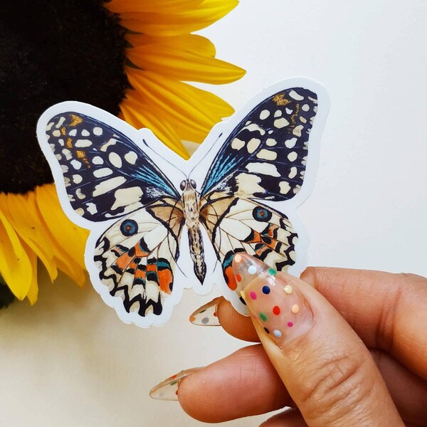 Butterfly Bike Decal Etsy