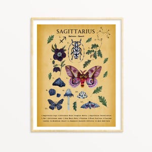 Sagittarius Zodiac Watercolor Print: Mystical Astrology Art
