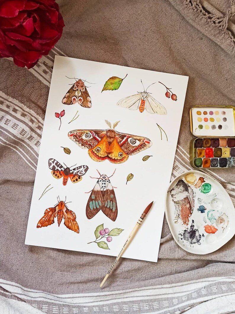 Moth Art Print Botanical Watercolor Moths and Berries - Etsy