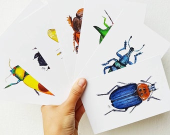Insect postcards set, bug notecard & insect cards, insect potscard bundle with 7 different bugs Entomology Gift, Small prints bundle