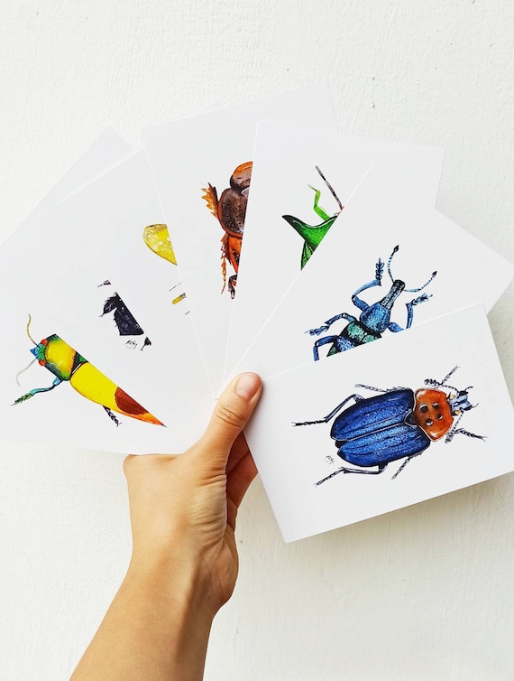 Insect Postcard Set: Vintage Nature Prints, Entomology Gift (Set of 7)