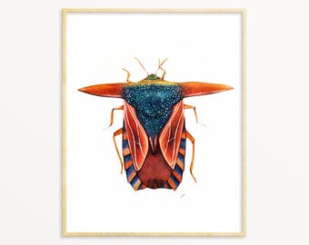 Shield Bug Art Print: Pygoplatys Lancifer Watercolor Illustration