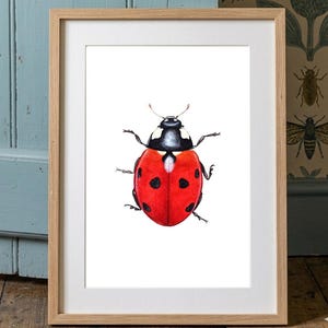 てんとう虫の絵画プリント：昆虫の壁飾り（8x8インチ） - Etsy 日本