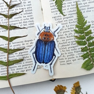 Bug Stickers, Waterproof and Scratch resistant, Entomology Gift, Insect Sticker, Laptop Stickers, Hydroflask Stickers, Insect Lover Gift