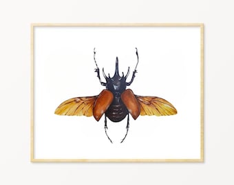 Rhino Beetle Watercolor Print, Pinned Insect Art, Entomology Gift, Insect Specimen Illustration, Scientific Illustration