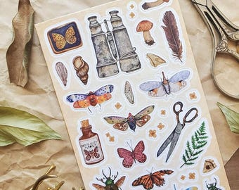 Nature Explorer Sticker Sheet, Moths, Butterflies, Mushrooms & Vintage Finds