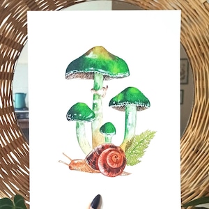 Mushrooms and Snail Print of Botanical Watercolor - Etsy
