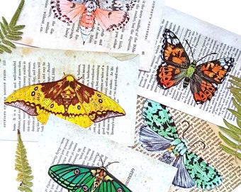 Moth Postcard Set, Pack of 5 Lepidoptera postcards, A6 Postcards, Butterfly Notecards, Nature inspired postcards, Notecard, Snail mail