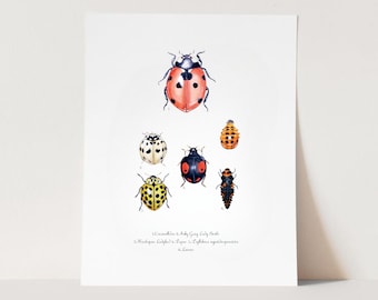 てんとう虫　アクリルガッシュ　イラストレーション　絵画 JAPAN