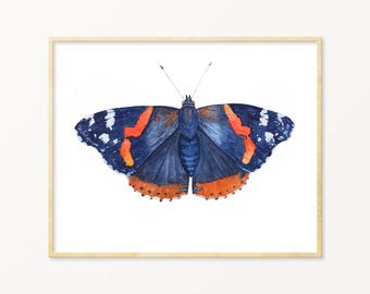 Red Admiral Butterfly Watercolor Illustration Print, Colorful Bright Butterfly Wall Art.