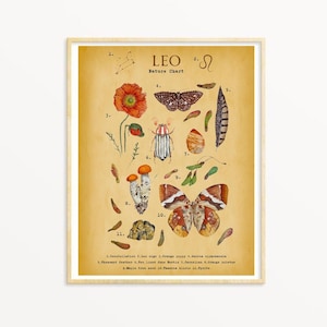 Leo Vintage Art Poster