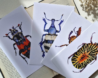 Ensemble de cartes postales artistiques sur le thème des coléoptères : illustrations d’insectes inspirées par la nature