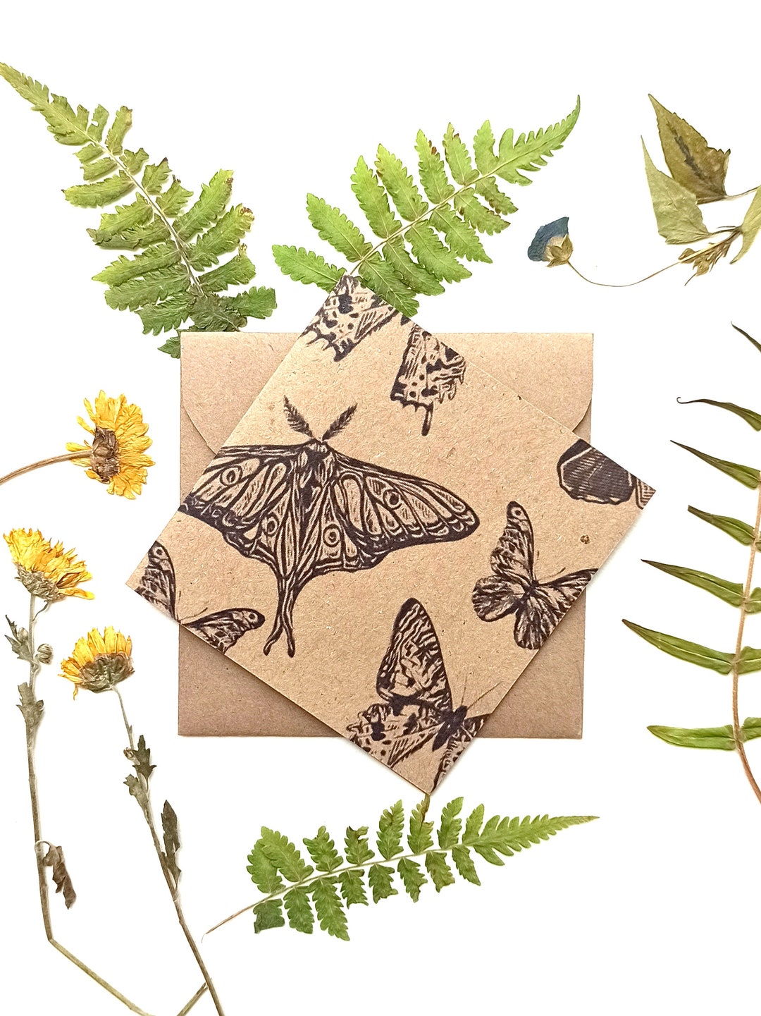 Butterfly Greeting Card Kraft Paper Card Blank Cards Etsy