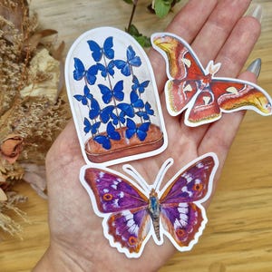 Schmetterlings- und Mottenaufkleberpaket, Schmetterlingsaufkleberset, Naturaufkleber für Becher, Lepidopteras-Aufkleberpaket, wasserdichter Aufkleber