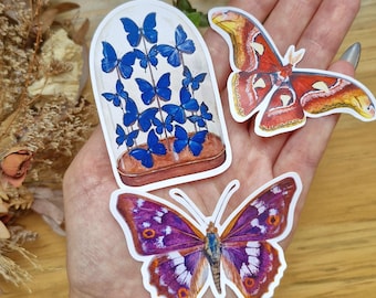 Butterfly & Moth Sticker Pack, Waterproof Vinyl Decals, Oddities Cabinet of Curiosities